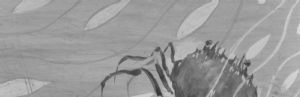 detail2