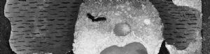 detail9