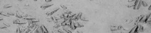 detail9