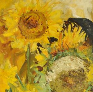 Girasole (1954)