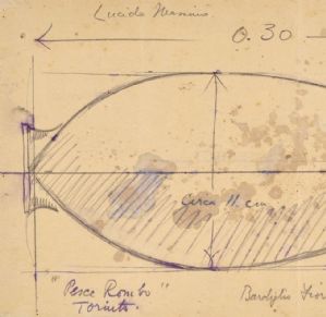 Progetto per pesce rombo (1936)