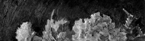 detail9