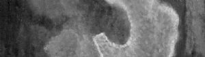 detail9