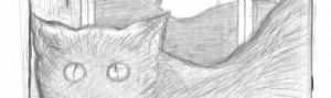 detail9