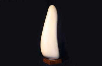 Avorio, 1950