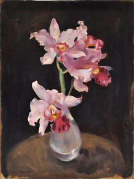 Orchidee, 1925 circa