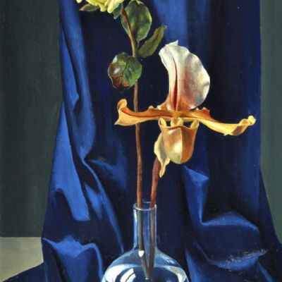 Orchidea e rosa, 1950 circa