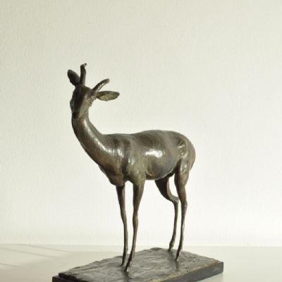 Antilope, 1930 circa