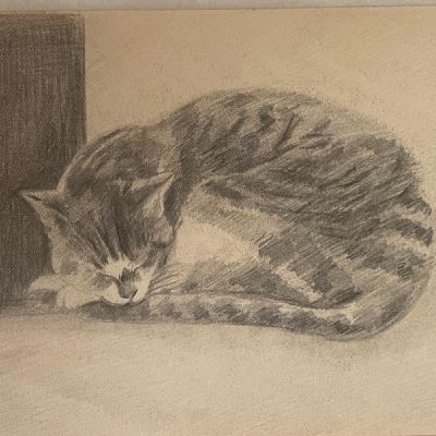 Gatto, 1943 ca